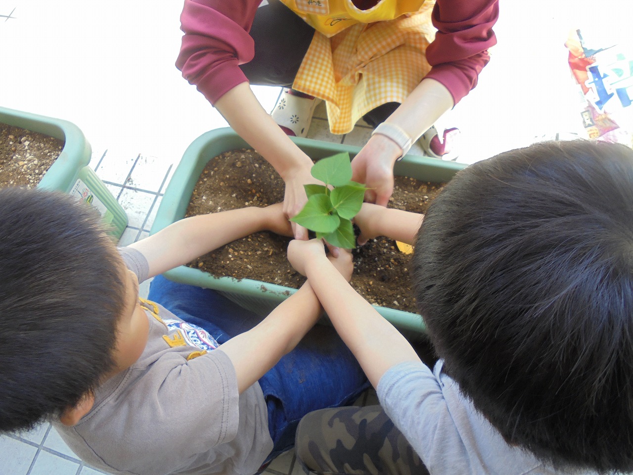 画像：にじいろ保育園西亀有の特徴