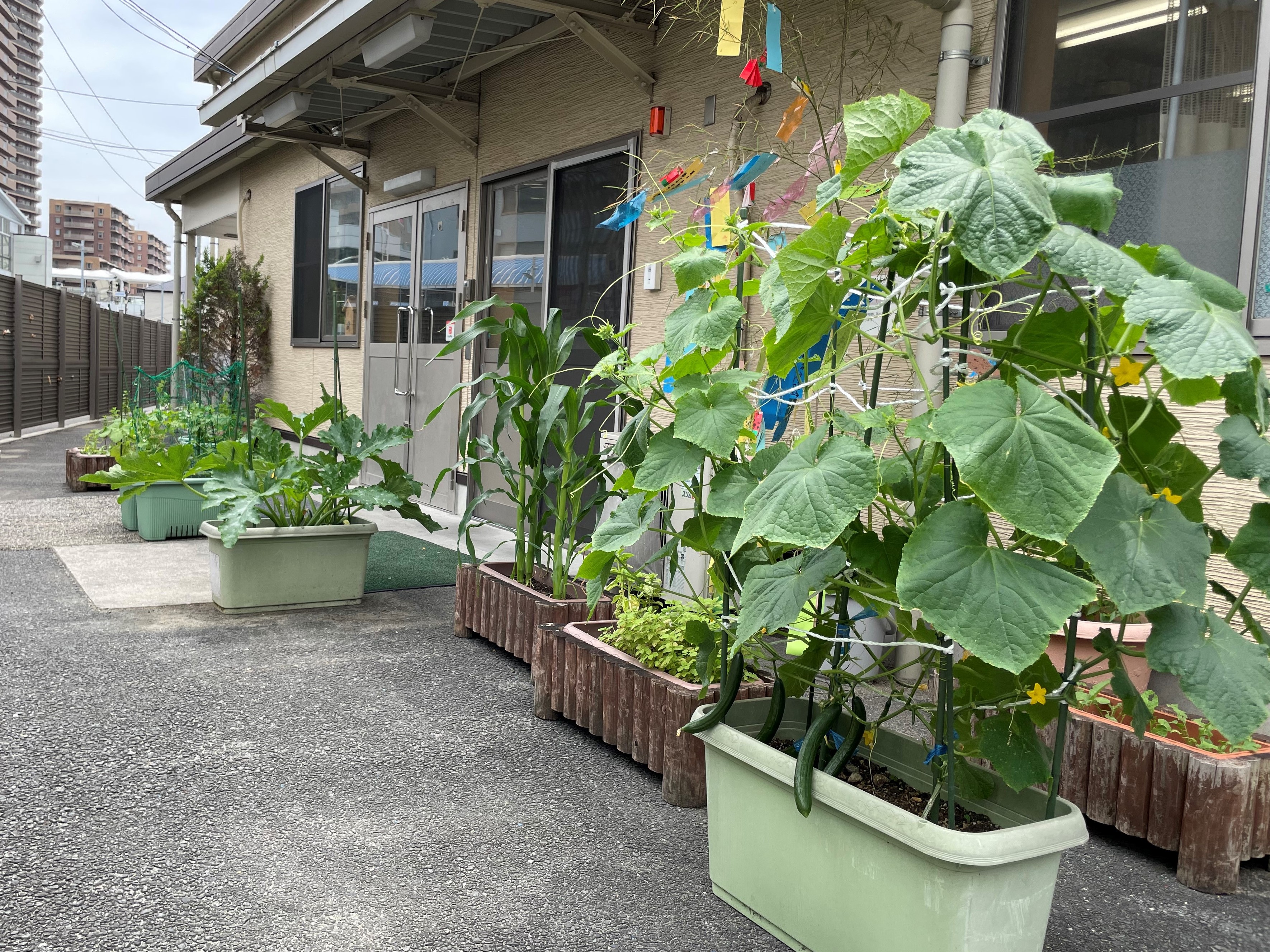 画像：にじいろ保育園鹿島田の特徴