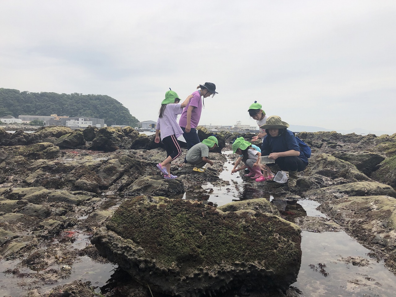 画像：にじいろ保育園久里浜コスモスの特徴