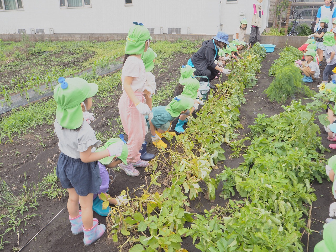 画像：にじいろ保育園上鶴間本町の特徴