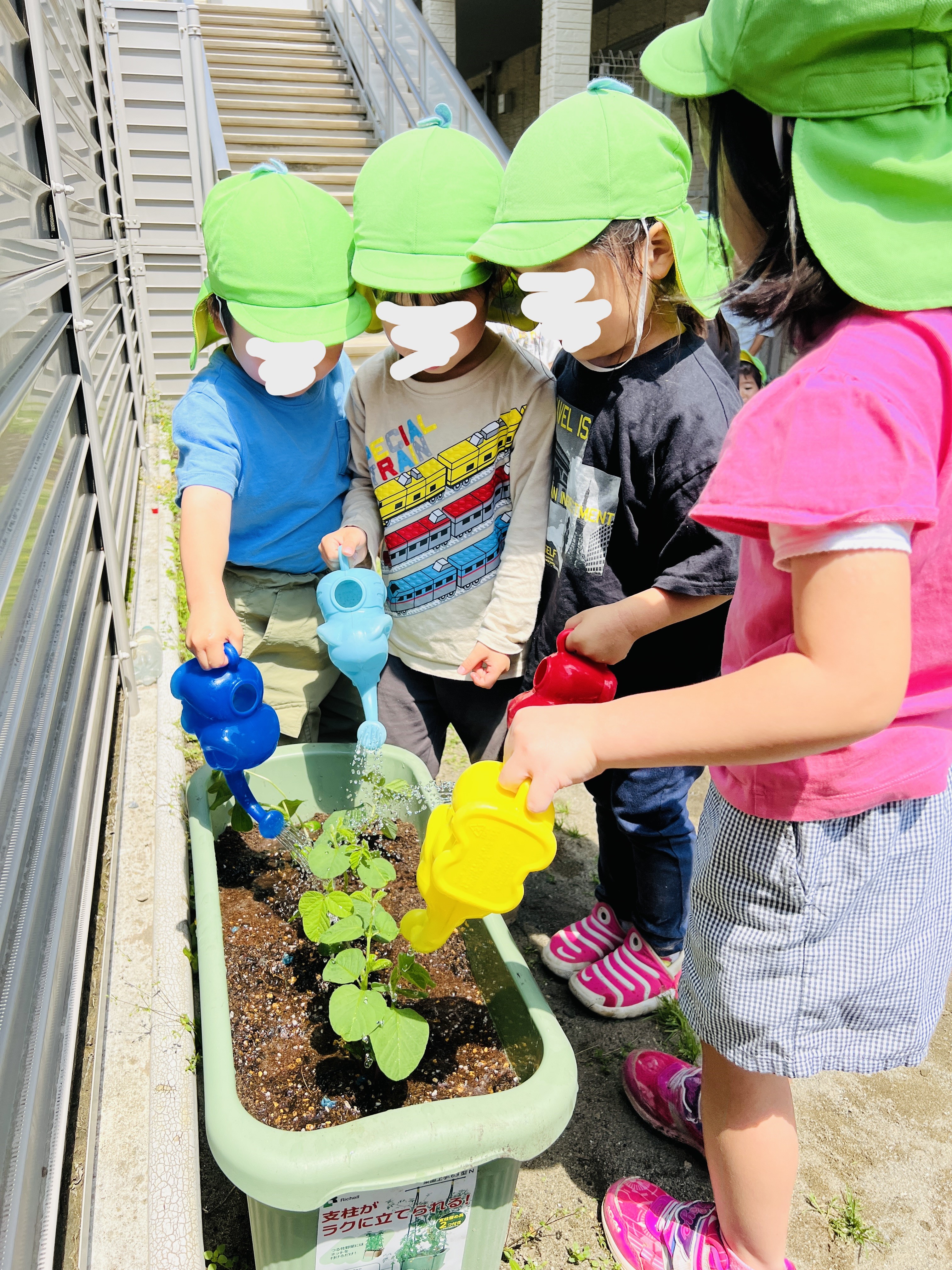 画像：にじいろ保育園上鶴間本町の特徴