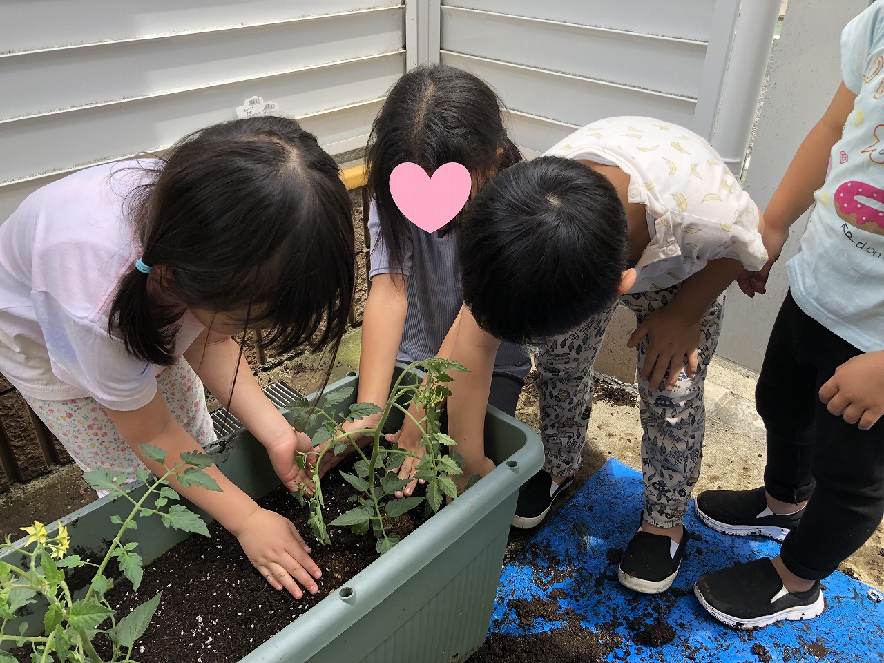 画像：にじいろ保育園中板橋の特徴