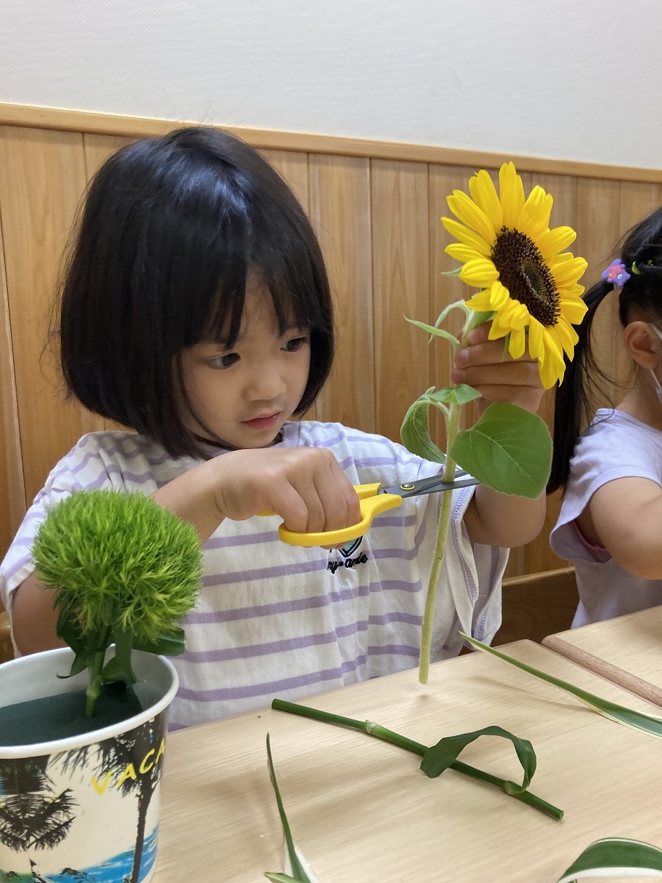 画像：晴海こども園の特徴