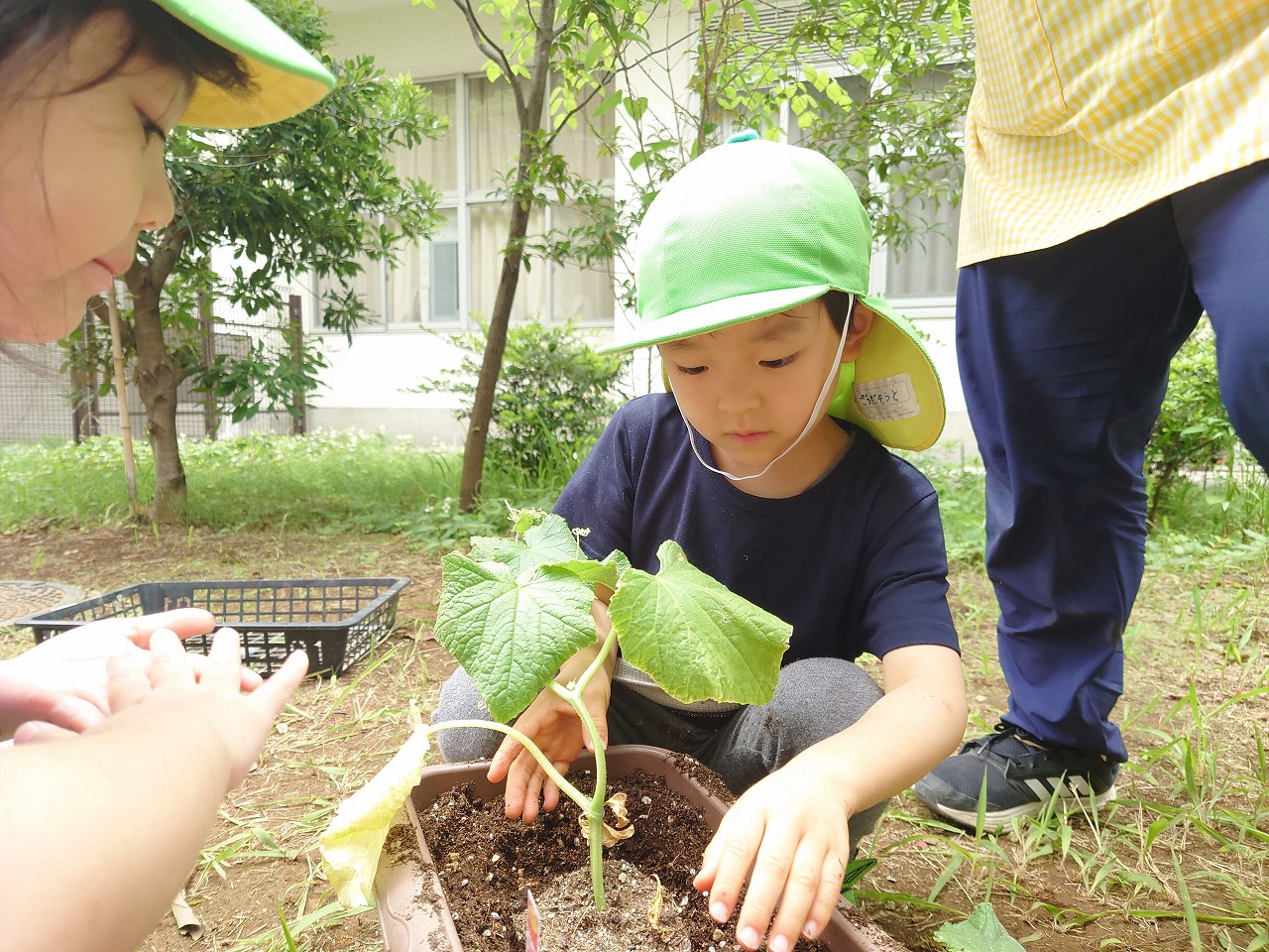 画像：にじいろ保育園田端新町の特徴