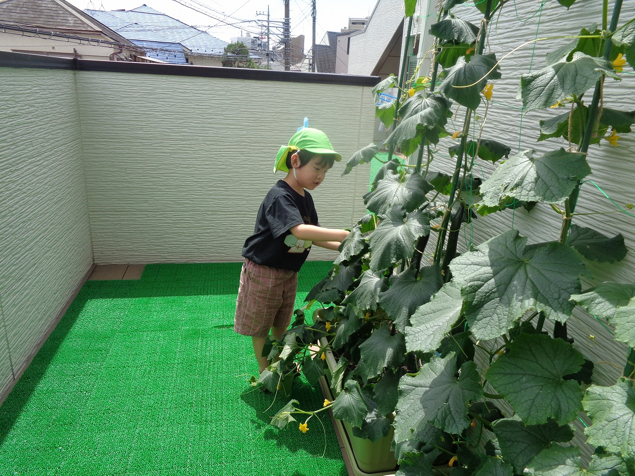 画像：にじいろ保育園学芸大学の特徴