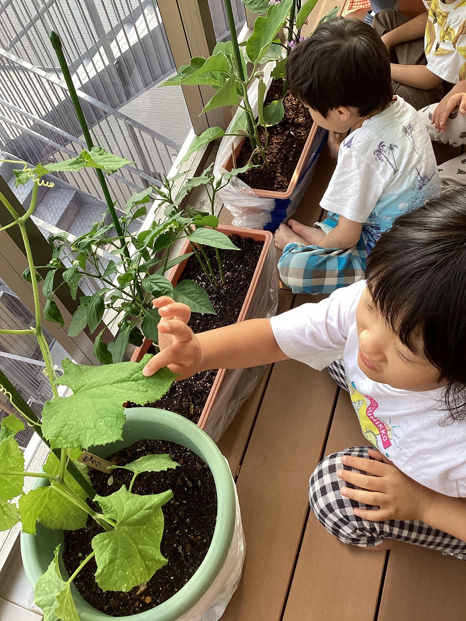 画像：にじいろ保育園小茂根の特徴