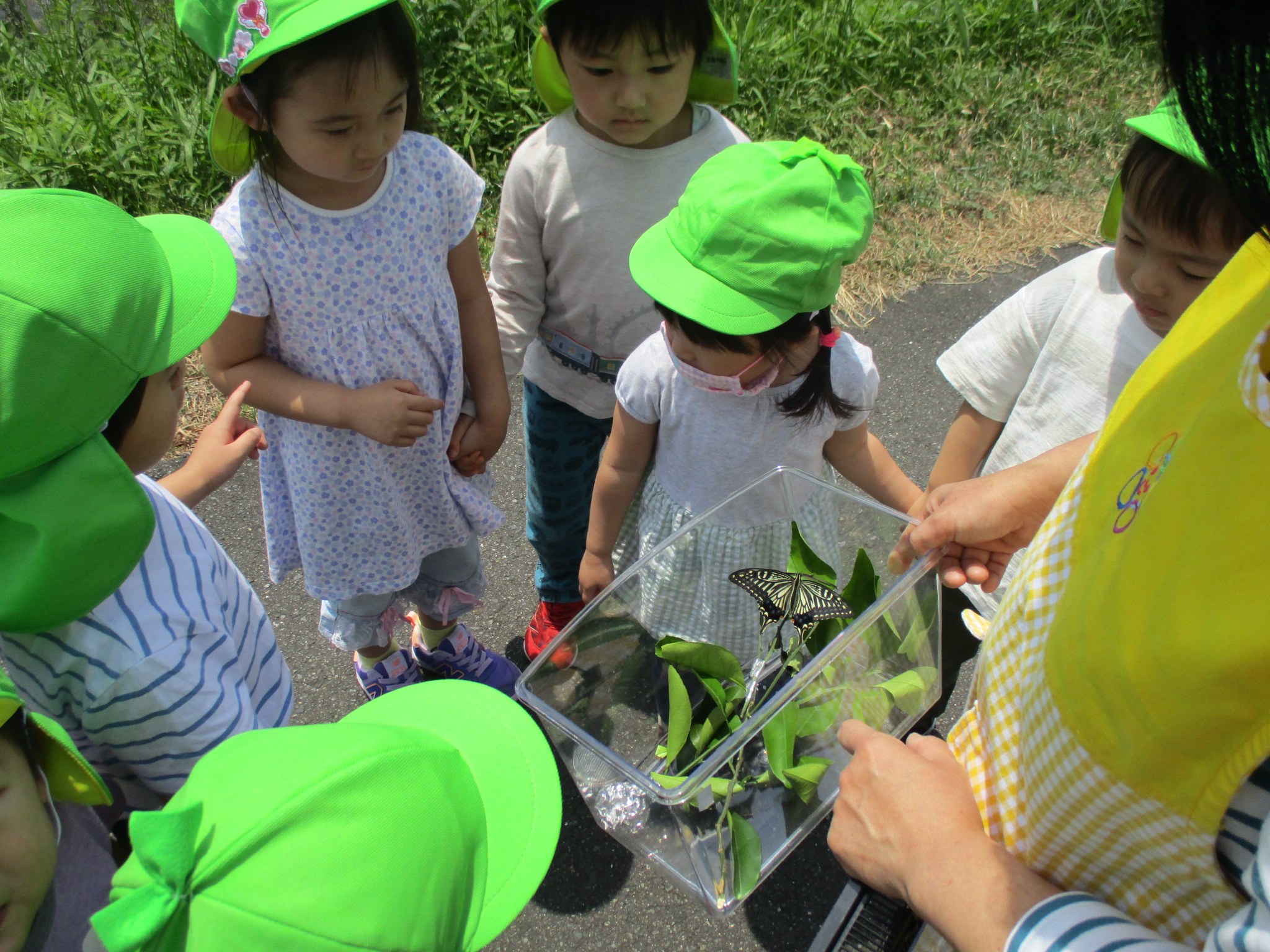 画像：にじいろ保育園中山の特徴