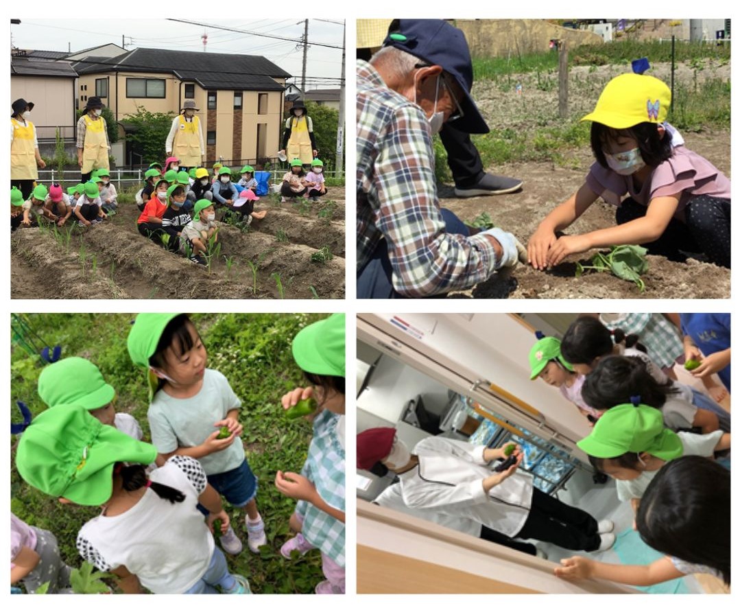 画像：にじいろ保育園梅が丘の特徴