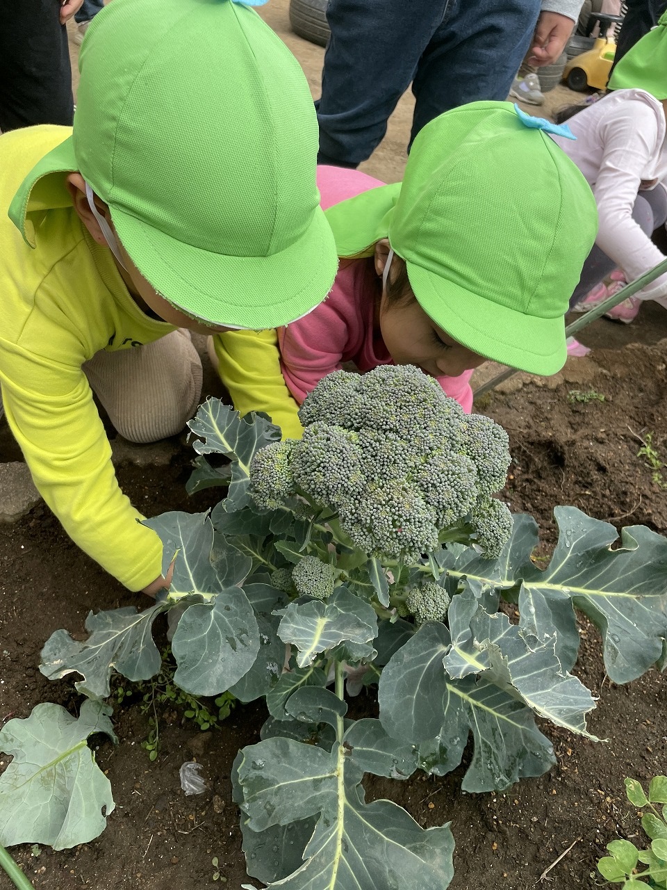 画像：にじいろ保育園練馬中村の特徴