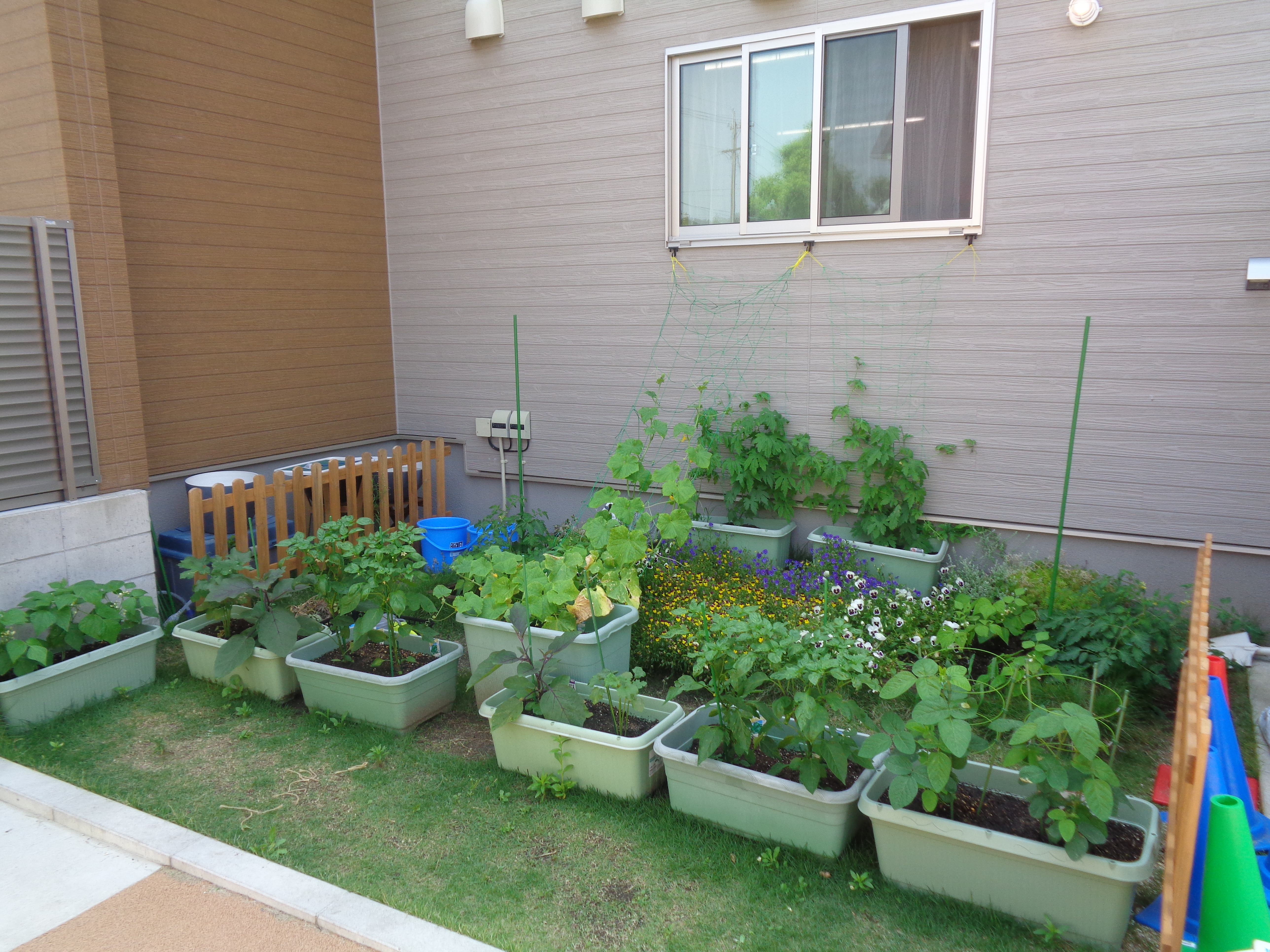 にじいろ保育園相生 | ライクキッズ｜ 認可保育園・学童クラブ・児童館