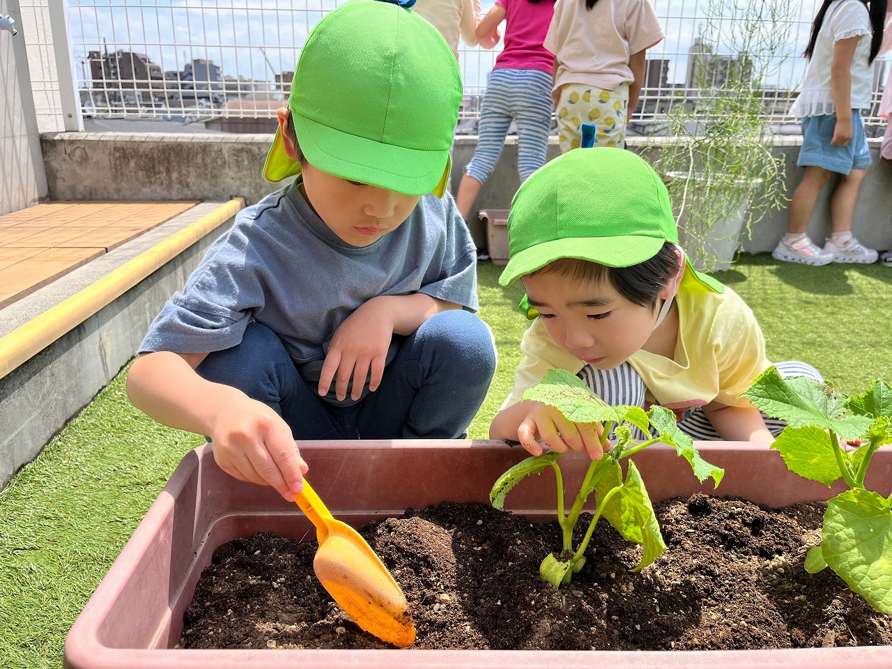 にじいろ保育園新桜台 | ライクキッズ｜ 認可保育園・学童クラブ・児童