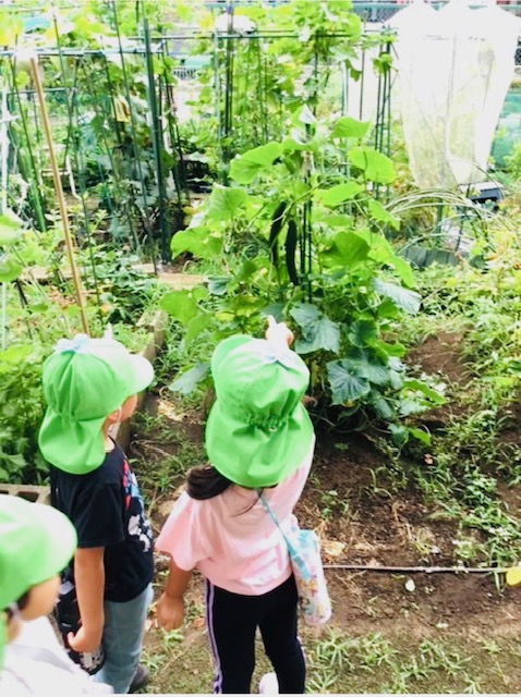 画像：年間行事