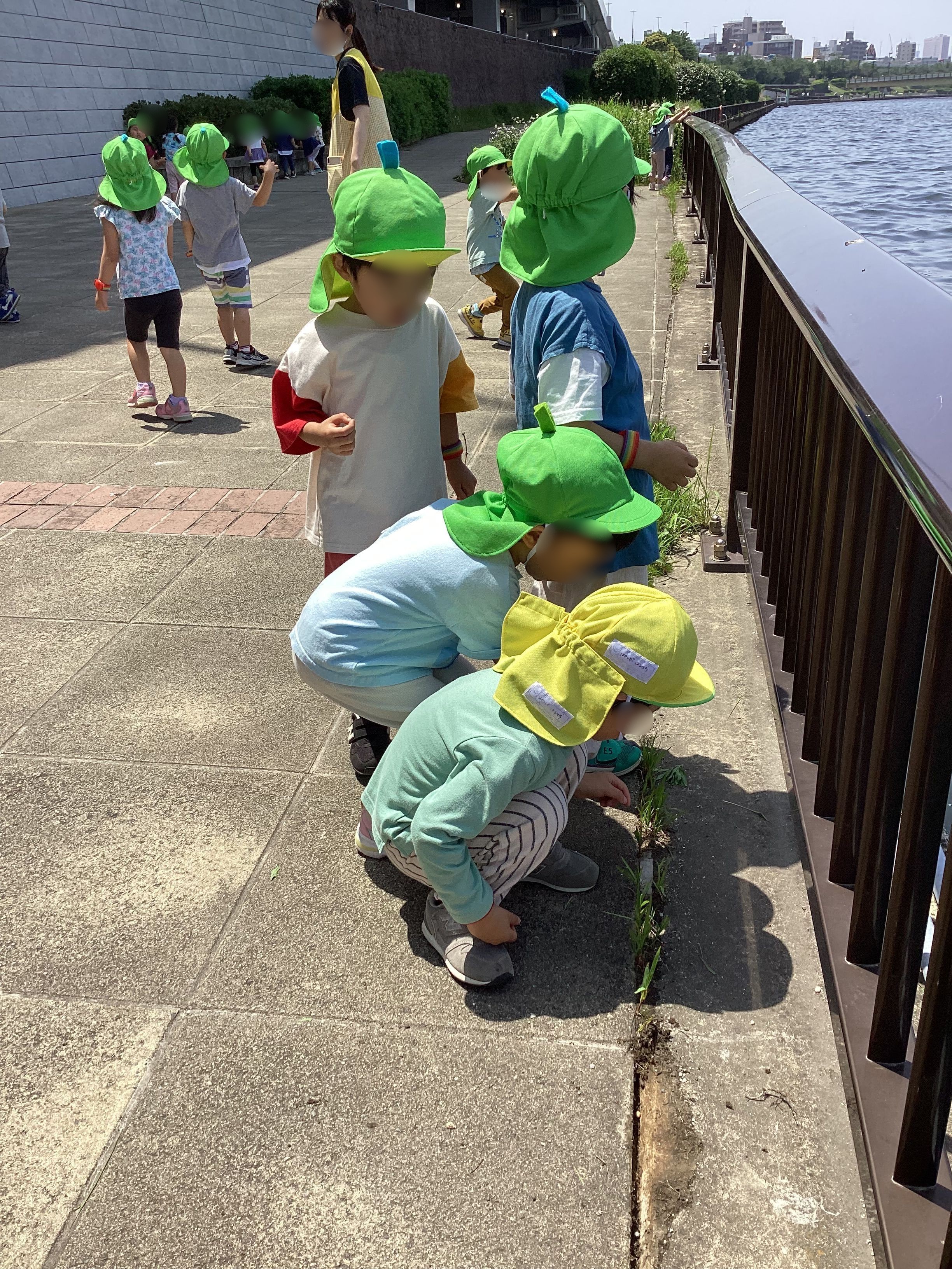 画像：年間行事